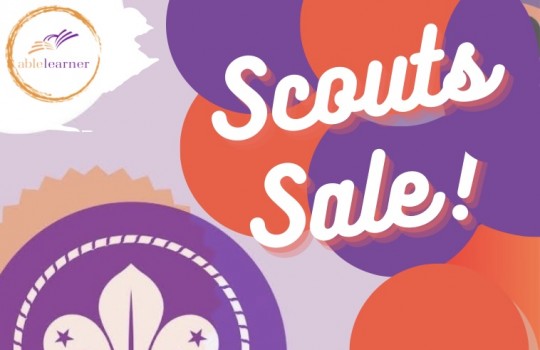 CCA Activity - Scout Sales